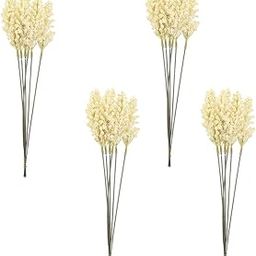 ELBME Dried Wheat Sheaves Grass Flower: Dry Stalks for Home Dining Table Flower Arrangement Art Wedding Decoration 24Pcs Beige-image-43