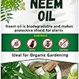 Gauranga Pure Organic Cold Pressed Water Soluable Neem Oil Concentrate for Plants & Garden|Neem oil for Plants to control insects and removes fungus pests from plants (100 ML)-image-12