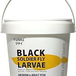 Black Soldier Fly Larvae BSFL | 500g |, 40% Protein and Calcium Rich Fish Food for Oscar, Arowana, Flowerhorn, Adult Turtle & Other Reptiles-6