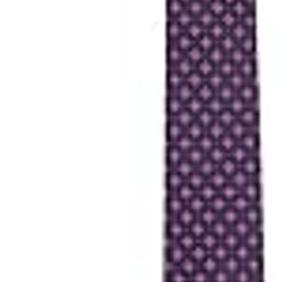 Men Purple Embroidered Tie-picture-39