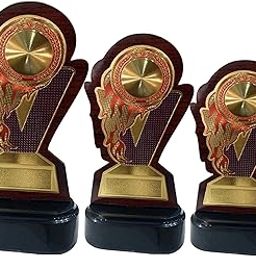 Eknoor Sports Wooden Momento/Trophy for School Student Appreciating Winners in Sports, Academics, Combo of 3 pc Small, Medium, Large [Eknoor-029]-15