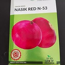 Jindal Seeds, Onion Seeds Nasik Red N-53-image-55