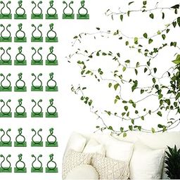 GrowPal 30PCS Plant Climbing Wall Clips with Double-Sided Tape – Secure Support for Creepers & Indoor Plants | No Drilling, Easy Stick & Remove | Perfect for Home & Garden Decor (30, Forest Green)-82