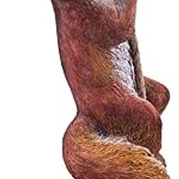 POTS AND PLANTS Koala on Rope, Home Decor, Garden Decor, Garden Statue, Statue Christmas Decoration (SquirrelOnRope)-image-48
