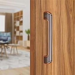 LAPO Zinc Door Handles For Main Door | Main Door Handle | Wooden & Glass Door Handle | Door Pull Handle-Ldh (8 Inches-Pack Of 1) Rose Gold Finish | 3 Years Warranty-image-72