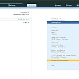 Item wise Sales Report - Tally Add-On (E-mail Delivery - No CD) - Single User-20