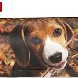 Xsovgoi Cute Beagle Dog Magnetic Mailbox Cover Standard Size Post Box for Outdoor Garden Yard Home Decor 25.5x21 in-image-26