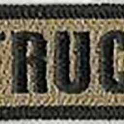 Gadsden and Culpeper Instructor Tactical Hat Patch - Coyote-image-1
