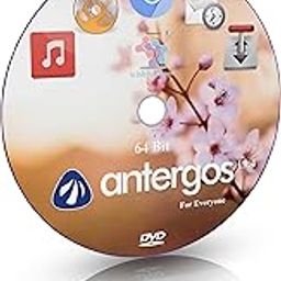 wishfulfil Antergos 19.4 GNOME 64 Bit Live Bootable Installation DVD-image-61