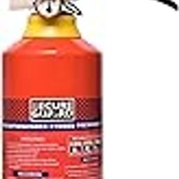 Secure Guard ABC Powder Type 1 Kg Fire Extinguisher Red Premium Fire Extinguisher ISI Mark with Wall Mount Hook and How to use Instruction Manual for Home, Kitchen, Office, School and Industrial Use-69