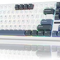 Aula F87 Wireless Mechanical Keyboard | 75% TKL Gasket Custom Hot Swappable Keyboard, 2.4Ghz/Type-C/Bluetooth Gaming Keyboard | Pre-lubed Switch RGB Backlit Keyboard (Smoke Blue, GrayWood Switch)-19