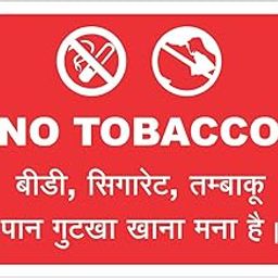 No Tobacco Sign Board - 8X10 Inch-image-137