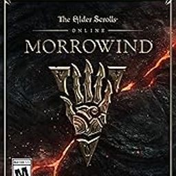 Elder Scrolls Online: Morrowind-12