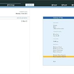 Quantity Report Of Stock Item - Tally Add-On (E-mail Delivery - No CD) - Single User-20