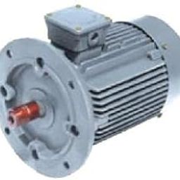 Trans Drive 2Hp 4 Pole 90B5 Frame Flange Mounted Induction Motor-image-29