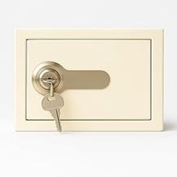 JAYVAC-Money Bank, Small Safe For Kids and Home Use, Mechnical Key Lock,Small Piggy Bank for kids | IVORY-image-64