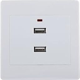 STYLEHEAVEN White 2.1A Dual USB Ports Wall Socket Charger Electrical Panel Power Outlet|Home & Garden-image-58
