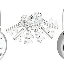 Alone Padlock Small Size 50mm 2 Padlocks 6 Same Keys Hard Shackle Double Locking | Padlocks for Home Door Gate Shop Shutter, Chrome Finish Rust Free.-image-57