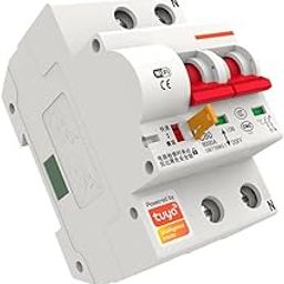 AC 220V-240V Smart Circuit Breaker, 2 Poles Smart Switch, Controlled by Tuya App, Function of Leakage/Overload Protection (63A)-10