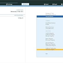 Ledger Report in Tabular Format (T-Format) - Tally Add-On (E-mail Delivery - No CD) - Multi User-10