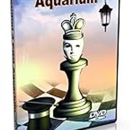 Houdini 4 PRO Aquarium - Chess Software-image-17