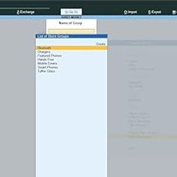 Standard Rate for Multiple Stock Items - Tally Add-On (E-mail Delivery - No CD) - Multi User-13