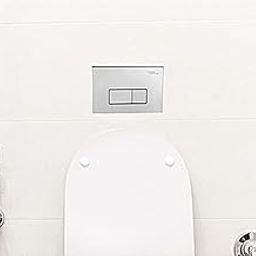 Hindware Flush Plate 508178 PVC Loop GL (Chrome, 1-Piece)-14