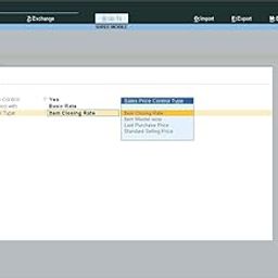 Block or Warn on Rate with below Selling Price - Tally Add-On (E-mail Delivery - No CD) - Multi User-22