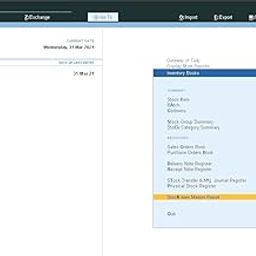 Stock Item Master Report - Tally Add-On (E-mail Delivery - No CD) - Multi User-picture-10