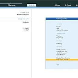 Stock Item Serial No. in Vocher Entry Screen & Inventory Report - Tally Add-On (E-mail Delivery - No CD) - Single User-23