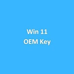 Win 11 Pro OEM License Key (1 User/PC, Lifetime Validity) 32/64 bit | Bind to 1 PC for Lifetime (Quick Delivery)-13