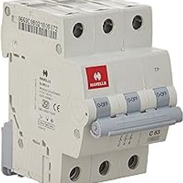 Havells DHMGCTPF063 PVC Plastic 63A MCB TP C Curve (White)-picture-16