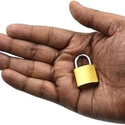 Lock and Keys for Home Door Room House ETS Imported Suitable for Medium Purpose Like pet Doors shutters Gates, Strong Keys Ultra ulimate,Lock Hardened Shackle Padlock, Gold 22 mm-image-21
