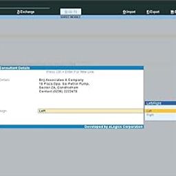 Balance Sheet & Profit Loss Report with Consultant Details - Tally Add-On (E-mail Delivery - No CD) - Single User-21
