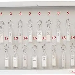 ALKOSIGN Cabinet for 20 Key-Chains With Laminated Back and Steel Fitted Hooks | Manager, Storage, Box, Lockable Acrylic Cover for Industrial Use, Factories, Offices, Hotels-picture-21