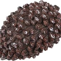 UTALIND Garden Hidden Key Box Grey Hidden Key Hider, Pinecone Hide Keys Box for Outdoor Garden Yard, Pack of 1-10