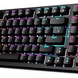 EvoFox Katana X2 FS Mechanical Gaming Keyboard | 3‑Pin Replaceable Clicky Blue Switches, Dynamic Backlighting, All Keys Anti‑Ghosting, Volume Knob, Copilot, Xbox Gamebar, Screenshot & More (Black)-image-75
