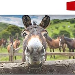 Elegant Donkey Mailbox Covers Home Decor, Magnetic Mail Wraps Covers Waterproof Post Box Cover for Outdoor Garden Yard Standard Size 18"X 21"-image-60