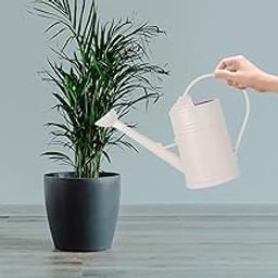 UJEAVETTE Watering Can Multipurpose Decorative Gardening Kettle for Garden Yard Plants 2L White-image-15