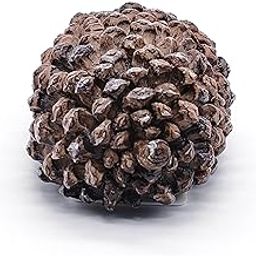 1pc Pine Cones Hide Keys Box, Hide Key Outside, Fake Pine Cones Hide A Key Looks Real Stone, Secret Outdoor Key Holder Safe Box For Keys Yard House Necessities-19