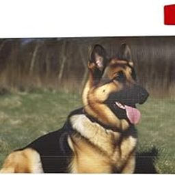 FHEDVBN German Shepherd Dog Mailbox Covers Standard Size 25.5x21 in, Personalized Post Letter Box Cover Magnetic Welcome Mail Box Cover Decorative Mailbox Wraps for Outside Garden Yard Home Decor-image-11