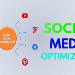 Social Media Organic marketing Services-18