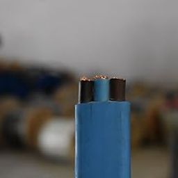 PVC & FR Insulated 3 Core Flexible Copper Wires & Cables for Home & Domestic Industrial Electric Wiring, Electric Wire (Black) (Blue)(50 Mtr, 1MM)-image-21