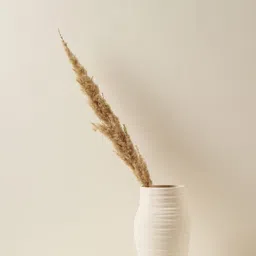 PUREZENTO White Ceramic Sufi Flower Vase-image-61