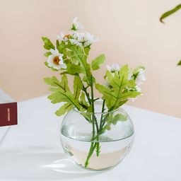 DecorTwist Transparent Solid Decorative Glass Round Flower Vases-image-68