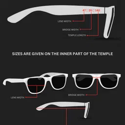 WEB EYEWEAR Unisex Round Sunglasses with UV Protected Lens We02495802G image 3