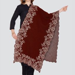 Elthia Embroidered Woollen Shawl-picture-26