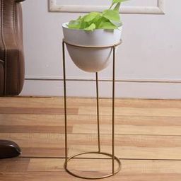 aapno rajasthan White Metal Planter-picture-36