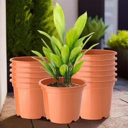 Kuber Industries Set Of 12 Orange-Coloured Planter With Pot-4