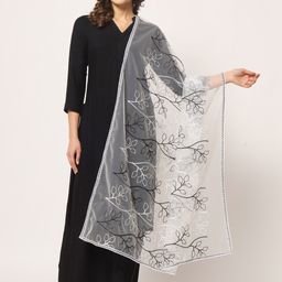 Zamour Embroidered Net Dupatta-image-40